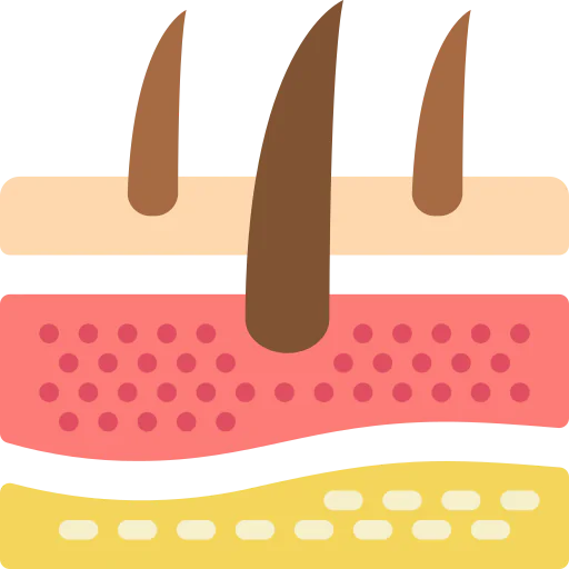 Dermis icon