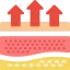 Dermis icon 64x64