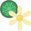 Citrus іконка 64x64