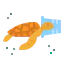 Turtle icon 64x64