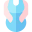 Pregnancy icon 64x64