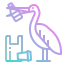 Pelican icon 64x64
