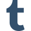 Tumblr icon 64x64