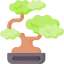 Bonsai icon 64x64