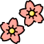 Sakura アイコン 64x64