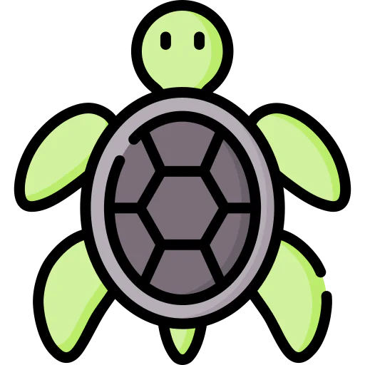 Turtle icon