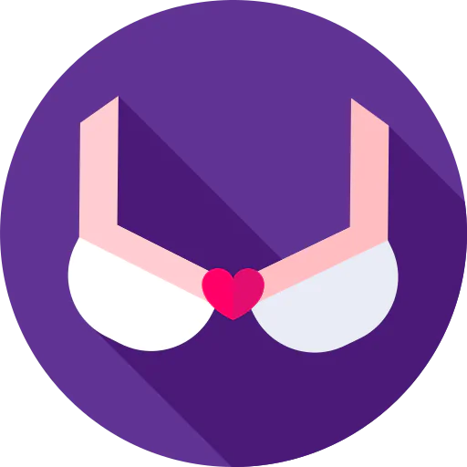 Bra icon