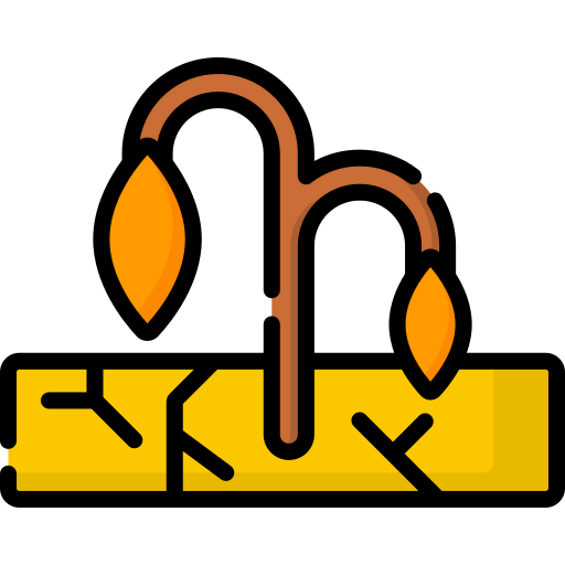 Drought icon