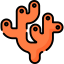Coral icon 64x64