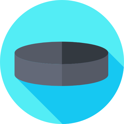 Puck icon