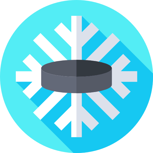Puck icon