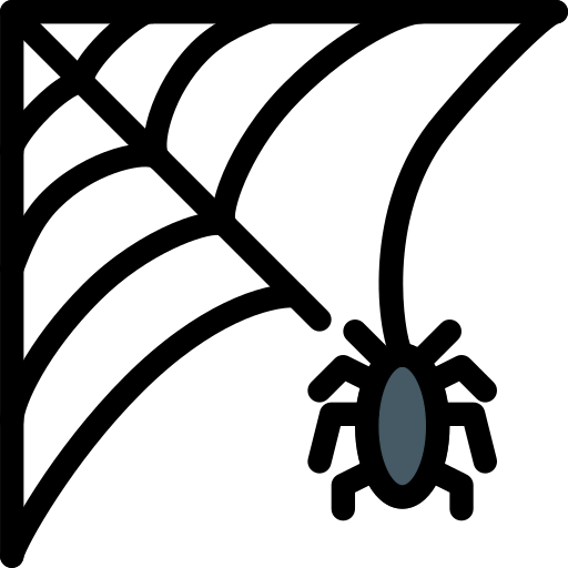 Spider web icon