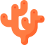 Coral icon 64x64
