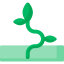 Sprout icon 64x64