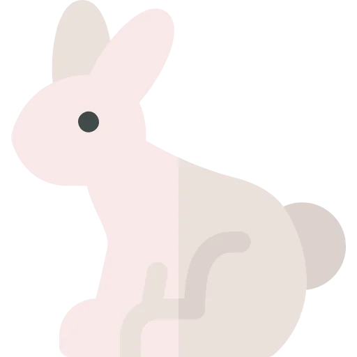 Rabbit icon