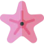 Starfish icon 64x64