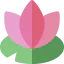 Lotus flower icon 64x64