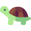 Turtle icon 64x64