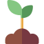 Sprout icon 64x64