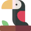 Toucan icône 64x64