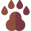 Paw icon 64x64