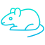 Rat icon 64x64