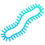 Centipede icon 64x64