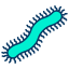 Centipede icon 64x64