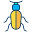 Beetle icône 64x64