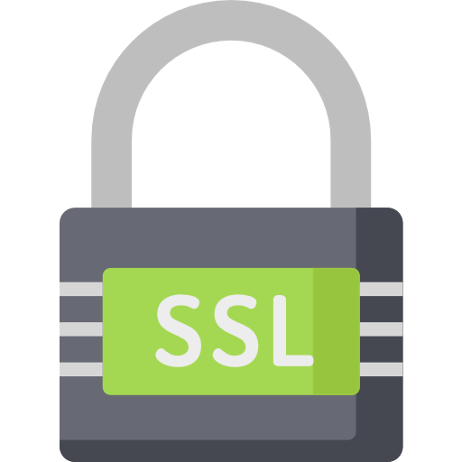Ssl icon