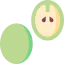 Grapes icon 64x64