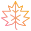 Maple leaf 图标 64x64