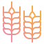 Wheat icon 64x64