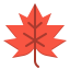 Maple leaf 图标 64x64