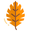 Leaf icon 64x64
