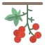 Berries Ikona 64x64