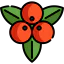 Mistletoe icon 64x64