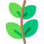 Branch icon 64x64