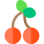 Cherries icon 64x64