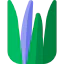 Aloe vera icon 64x64