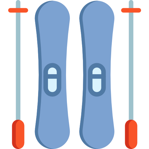 Skii icon
