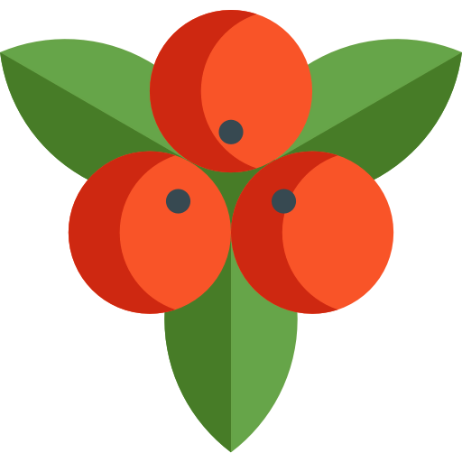 Mistletoe icon