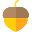 Acorn icon 64x64