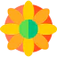 Sunflower icon 64x64