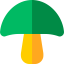 Mushroom icon 64x64
