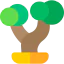 Bonsai icon 64x64
