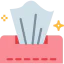 Napkin icon 64x64