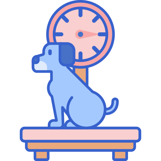 Scale icon