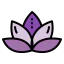 Lotus flower icon 64x64