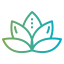 Lotus flower icon 64x64